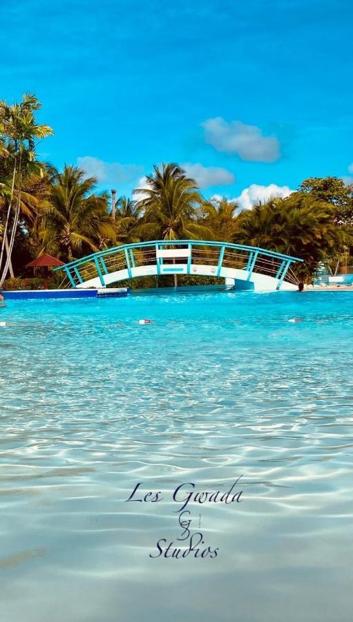 Vue Exclusive Mer Et Volcan, Village Vacances Avec Plage Et Piscine, Les Gwadastudios サンタンヌ エクステリア 写真